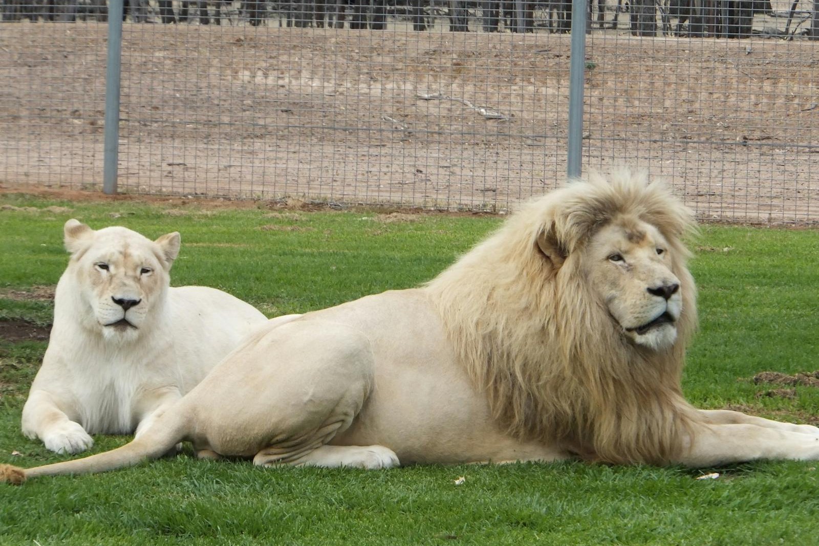 Altina Wildlife Park
